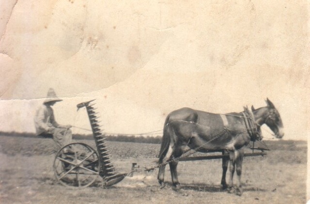 Loading Image