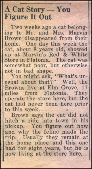 catstoryjan24_1952