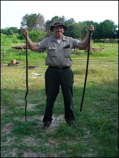 sbrownsnakes